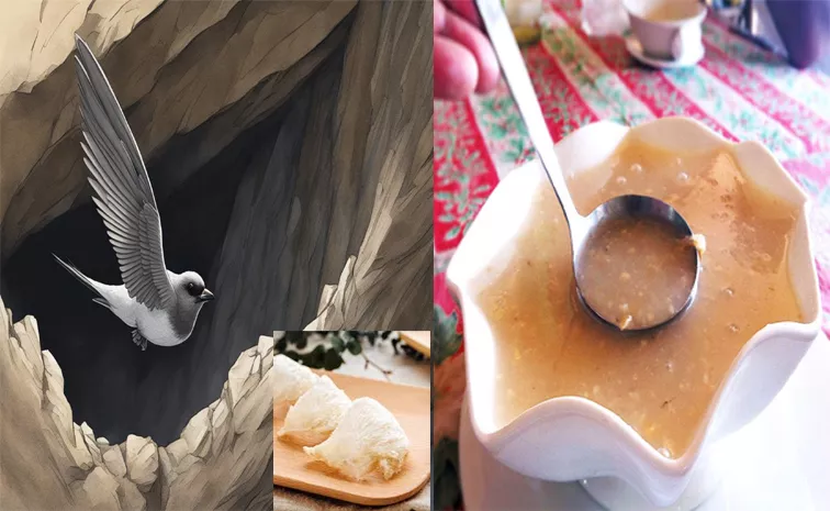 Asian Bird Saliva Soup For Skincare Goes Viral On Social Media