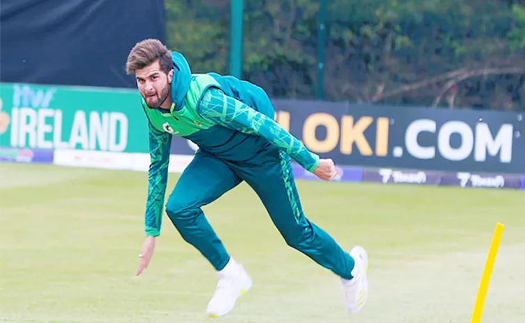 Shaheen Afridi May Miss Test Series Vs Bangladesh Due to birth of His First Child