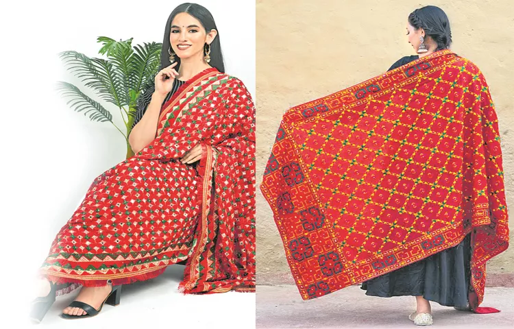 Different Designs In Phulkari Embroidery