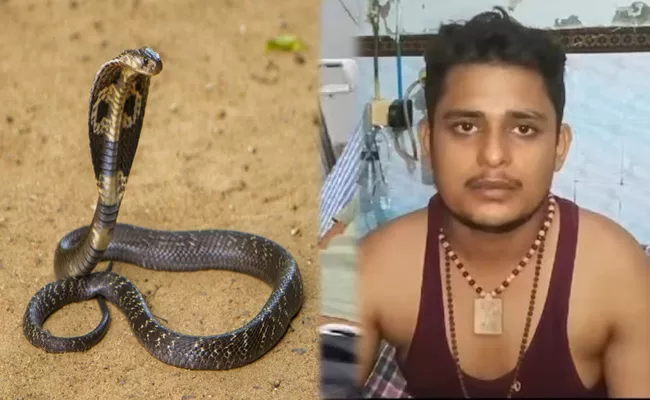 Man bitten by snake 7 times in 40 days