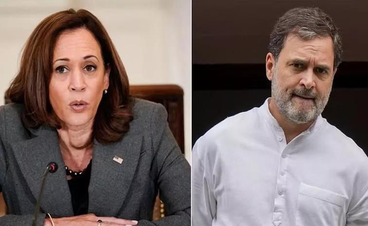 Kamala Harris Office Clarify On Rahul Gandhi Phone Call Issue