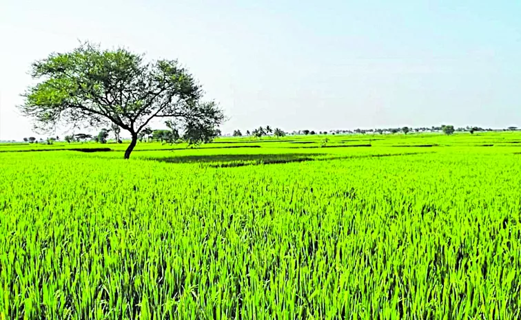 polam pilustundi will start for july 23rd: Andhra pradesh