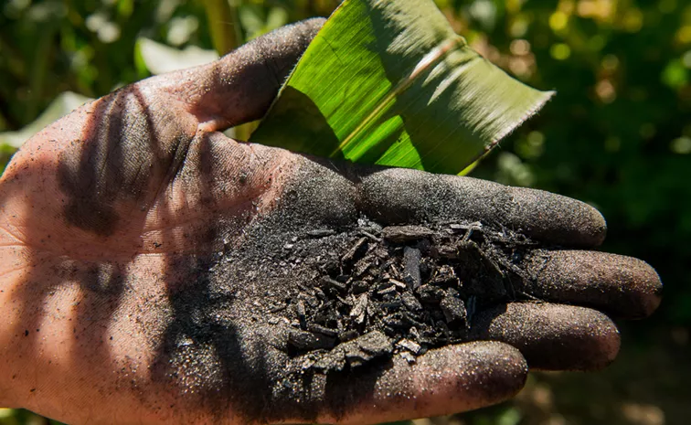 Biochar with iron furnaces 15pc extra crop protection from Betta