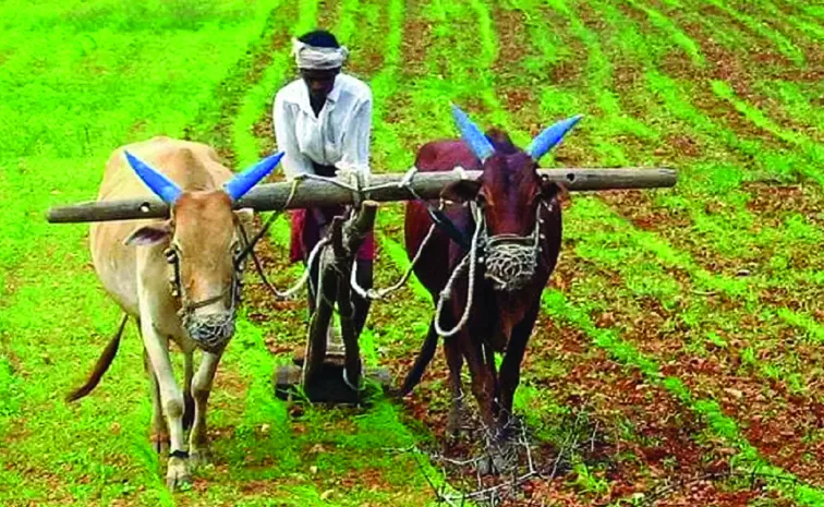 Restrictions on loan waiver for farmers: Telangana