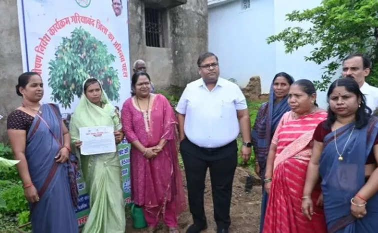 Chhattisgarh's Gariaband Women Makes World Record For Massive Plantation