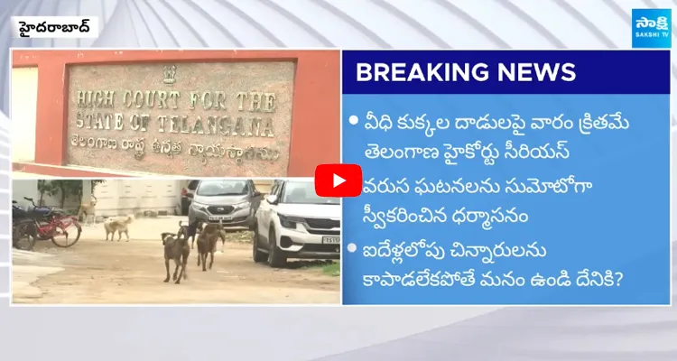 Hyderabad Stray Dogs Incident in Jawahar Nagar