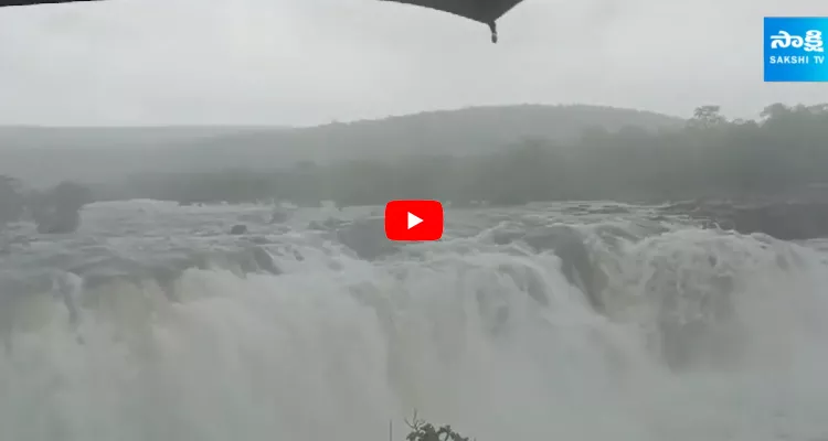 Indian American Woman Fidaa To Bogatha Waterfalls 