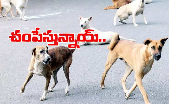 Dog Attack In Hyderabad