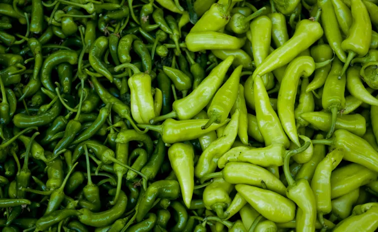 surprising health benefits of green chilli