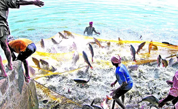 Demands of aqua farmers: andhra pradesh