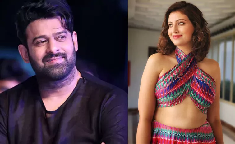 Tollywood Heroine Hamsa Nandini Interesting Comments On Prabhas