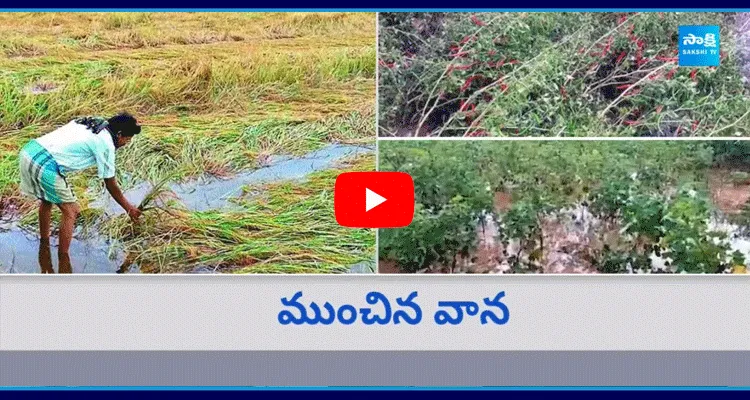  Heavy Rains In Telugu States