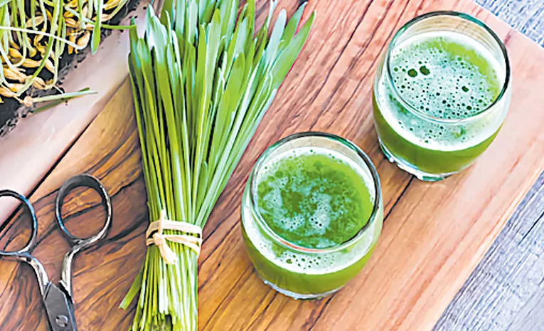 Wheatgrass Smoothie Recipe