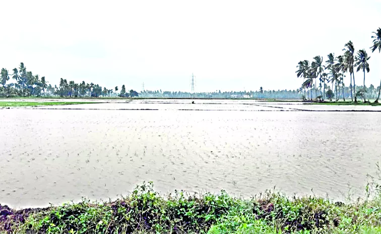 Heavy rains across the state