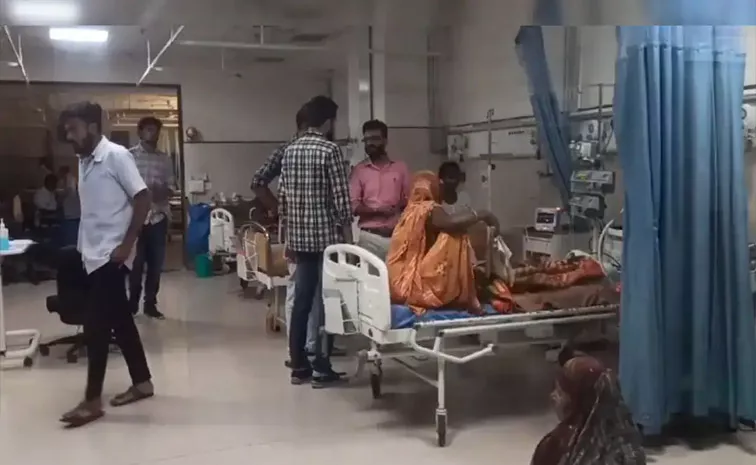 16 Dead of Chandipura Virus in Gujarat