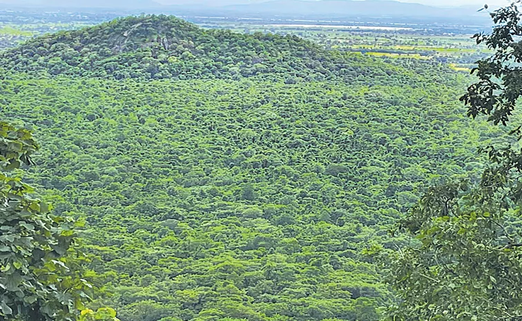 Biodiversity is booming in the state