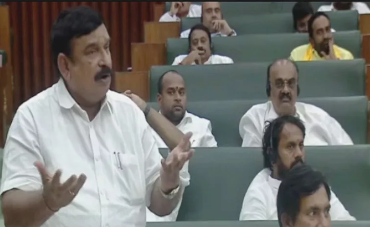 BJP MLA Vishnu Kumar Raju Controversy Comments On AP Voters