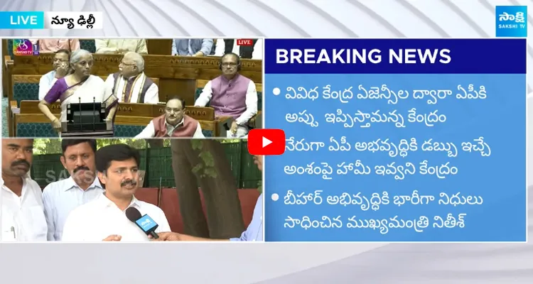 YSRCP MPs Comments On Union Budget 2024 2025 