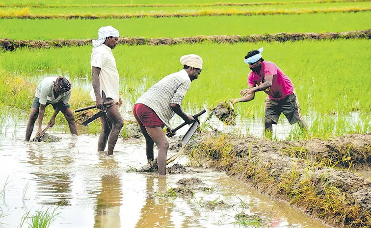 Sakshi Editorial On Farmers about Union Budget 2024