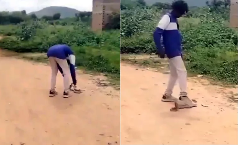 Snake Bite Young Man In Kadiri