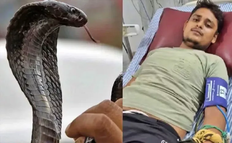 Vikas Dwivedi Snake Bite 8 Times