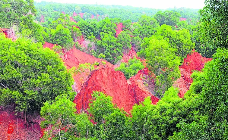 Natural preparation for Visakha: Andhra pradesh