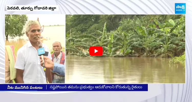 Banana Crop Drowned in Floods at Peravali 