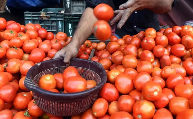 Tomatoes To Be Sold At Subsidised Rate Of Rs 60 Kg In Delhi