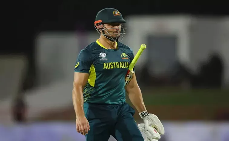 Stoinis All Round Show, Surrey Jaguars Beat Toronto Nationals In Global T20 Canada