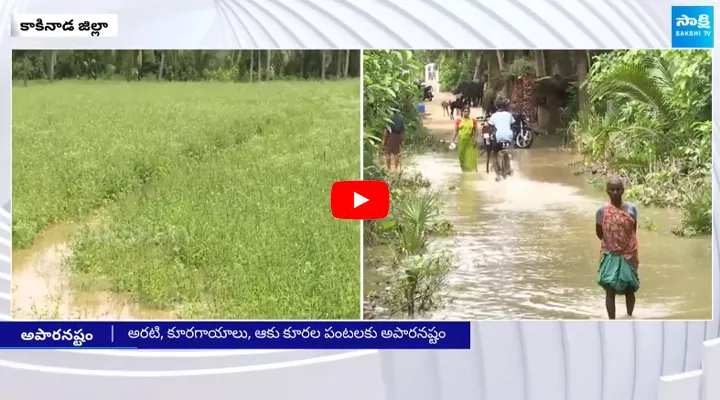 Kakinada Farmers Anguish Due to Heavy Floods