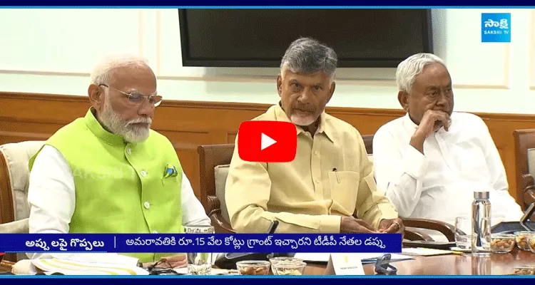 TDP Leaders Agreed 15000 Crore As Debt For Amaravati