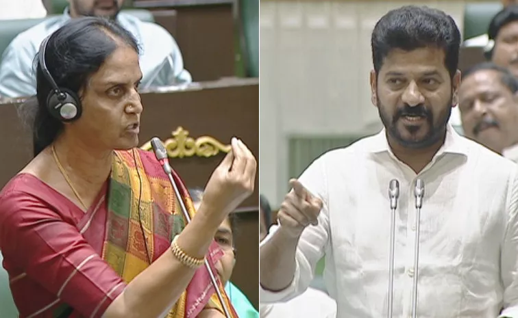 Ex Minister Sabitha Indra Reddy Sentiment Comments In Assembly