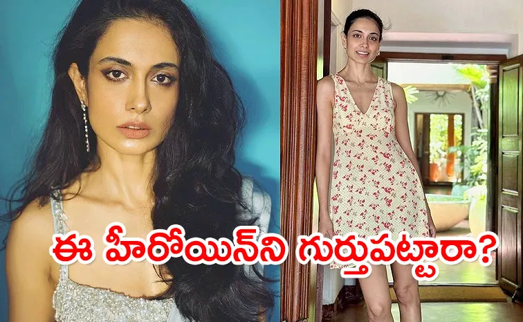 Panja Movie Actress Sarah Jane Dias Latest News And Pic