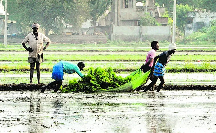 Agriculture sector is the largest employer in India