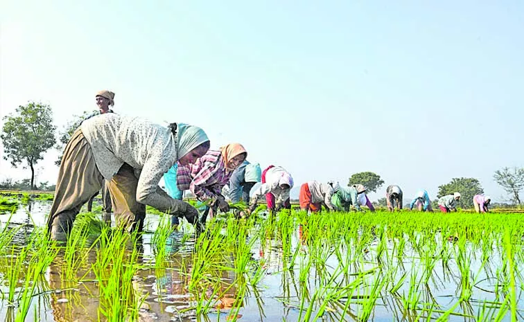 Raitu Bharosa based on public opinion: telangana