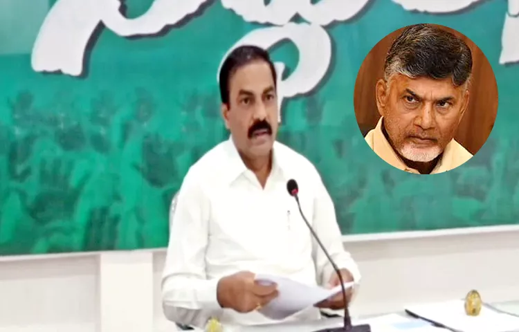 Ex Minister Kakani Govardhan Reddy Comments On Chandrababu