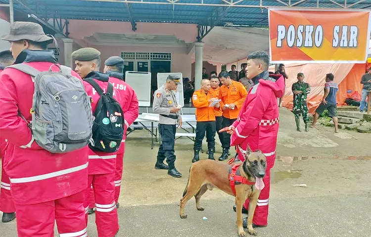 Landslide On Indonesia Gold Mine Workers Died