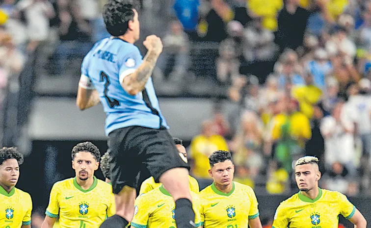 Brazil team has ended in the Copa America Cup football tournament