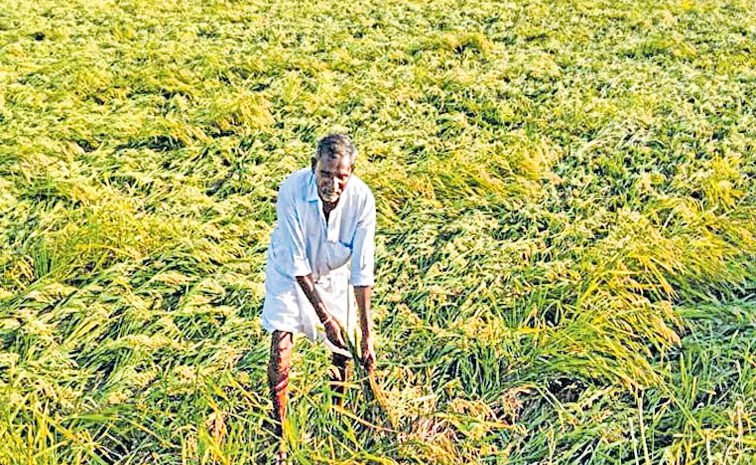 Chandrababu TDP Govt Planning To Stop YSR uchitha pantala bheema