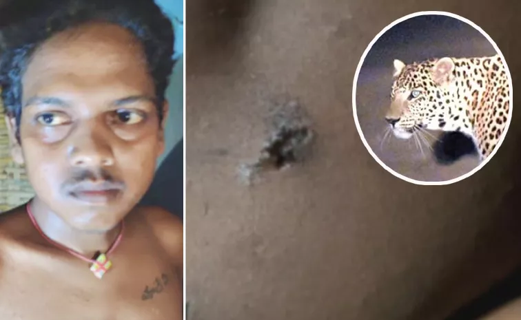 leopard attack on young man in nandyal district