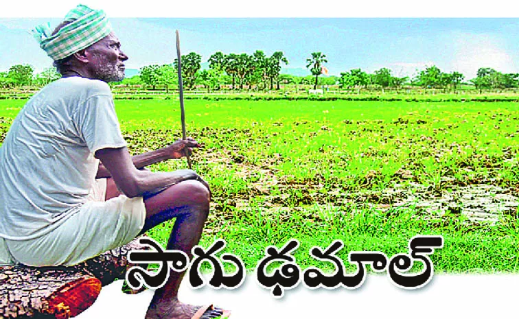 Telangana: cultivated area Significantly reduced