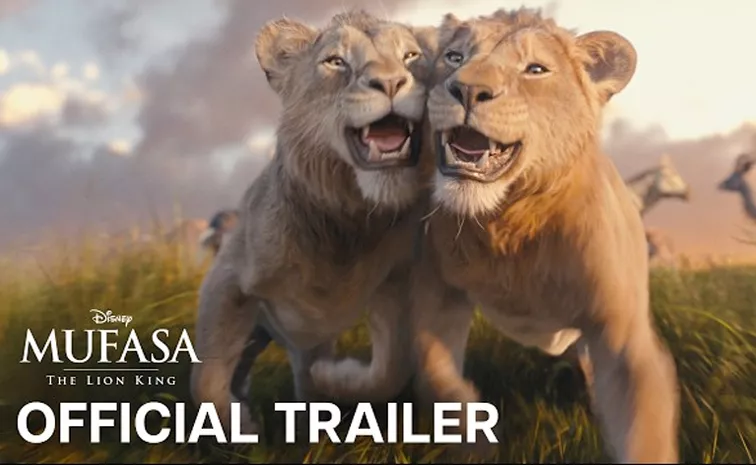 Hollywood Crazy Movie Mufasa The Lion King Trailer Out Now