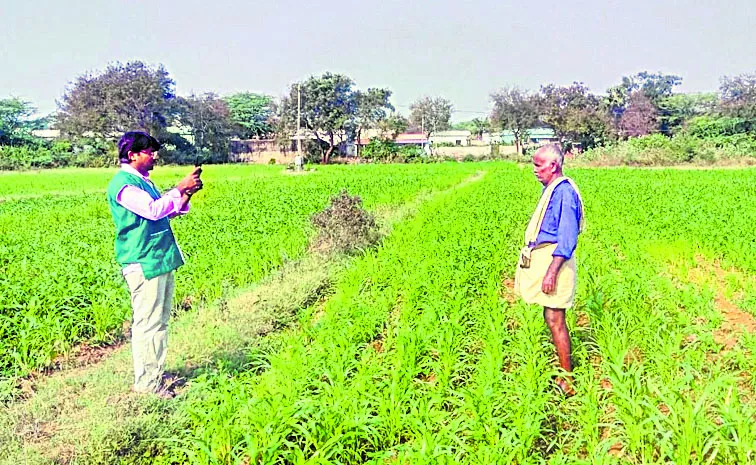 Rejection of entry of crop details through phone app