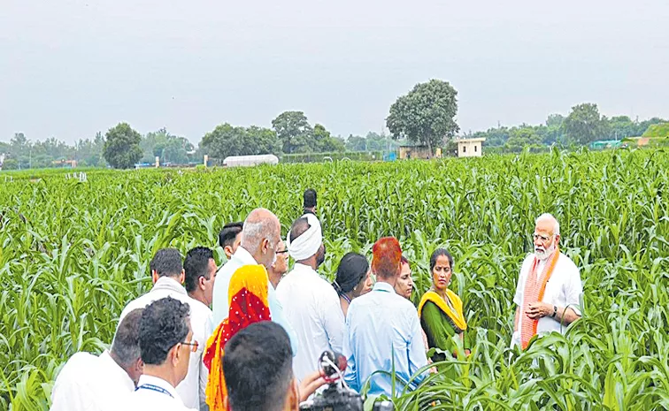 PM Narendra Modi releases 109 climate-resilient seed varieties to boost farm yield, nutrition