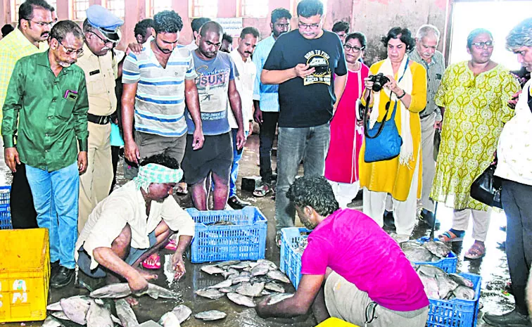 central team inspected the port harbour in Machilipatnam