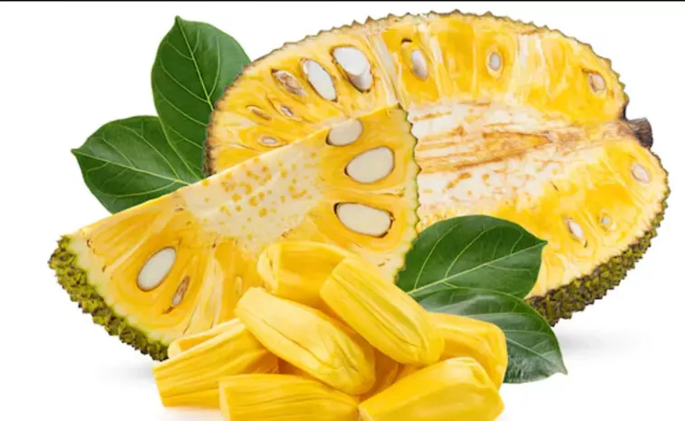 Jackfruit Seeds Benefit Nutritious Like Almond