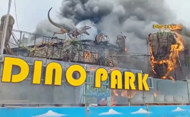 Fire Accident In Vizag Dino Park