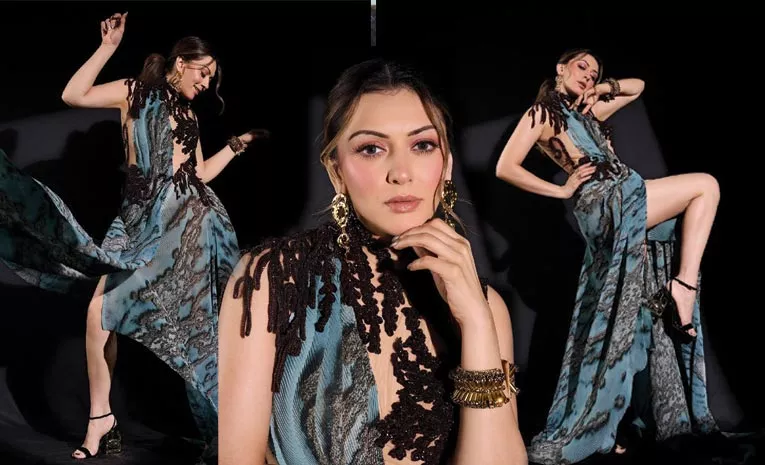 hansika motwani special photo session 