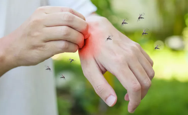 These Reasons Why Do You Get More Mosquito Bites Than Others