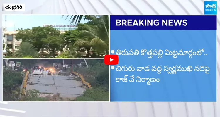 Chandrababu Naidu Orders To Use TTD Funds For Chandragiri Constituency Development 